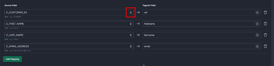 Snowflake Field metadata