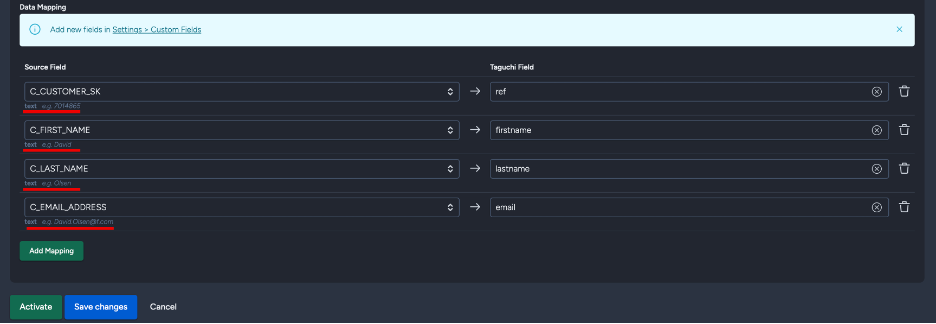Snowflake Field metadata