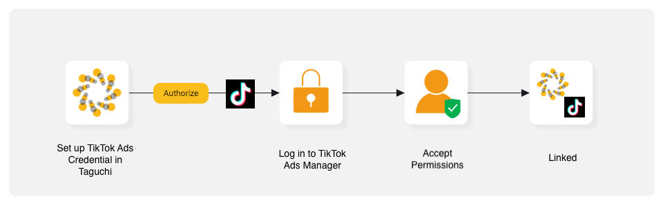 Tiktok Ads Integration - Taguchi Support