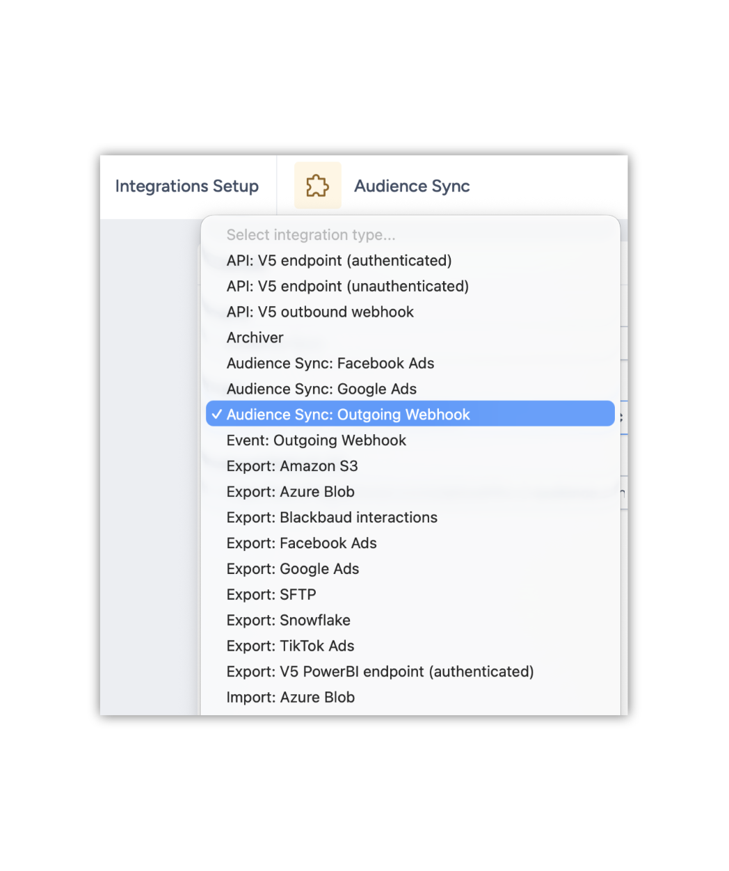 audience sync details