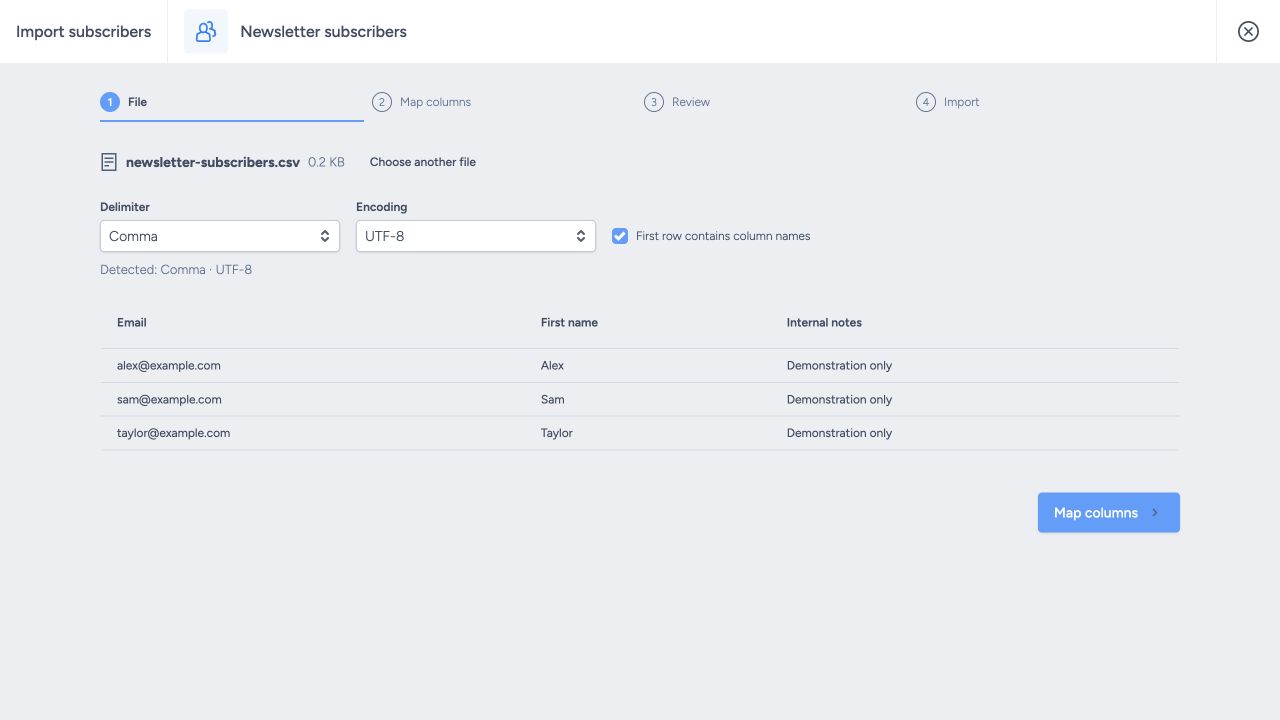 File step showing the subscriber file, parsing options and sample rows